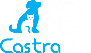 Castrabus